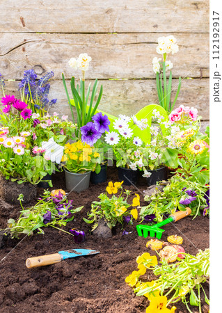 Spring garden decoration with flowers 112192917