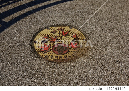 大長見ダム天端のマンホール 112193142