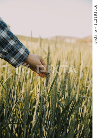 Smart farm. Farmer with tablet in the field. Agriculture, gardening or ecology concept. Harvesting. Agro business. Smart farm. Farmer with tablet in the field. Agriculture, gardening or ecology concept. Harvesting. Agro business. 112193616