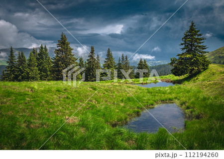 Small lakes on the green meadow at rainy day 112194260