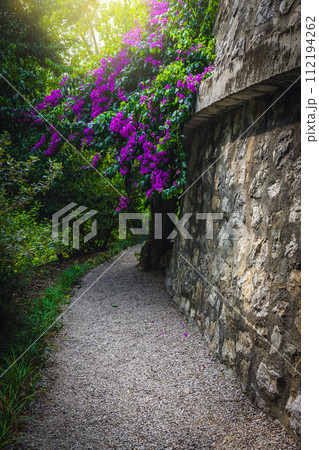 Picturesque gravel pathway in the botanical garden, Menton, France Picturesque gravel pathway in the botanical garden, Menton, France 112194262
