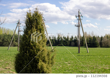 Poles with electrical wires in a green field Poles with electrical wires in a green field 112194308