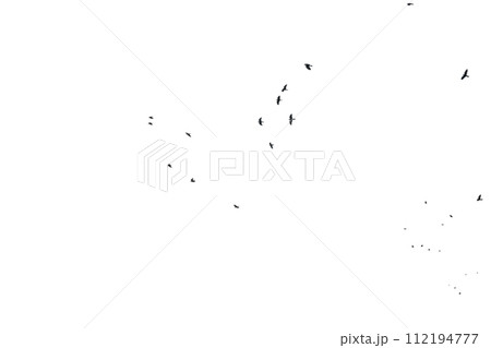 a flock of numerous black Starling birds flying in the distance a flock of numerous black Starling birds flying in the distance 112194777