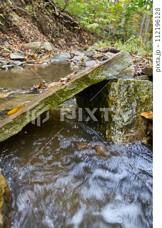 Autumnal Woodland Stream with Stone Bridge, Salamonie River Forest 112196128