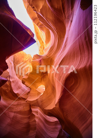 Antelope Canyon Warm Hues, Slot Canyon Light Play, Upward Perspective 112196423