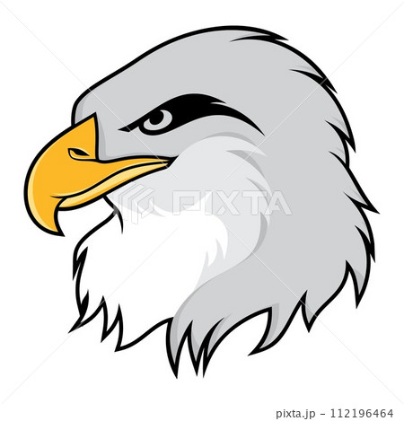 Illustration of eagle head isolated on white background Illustration of eagle head isolated on white background 112196464