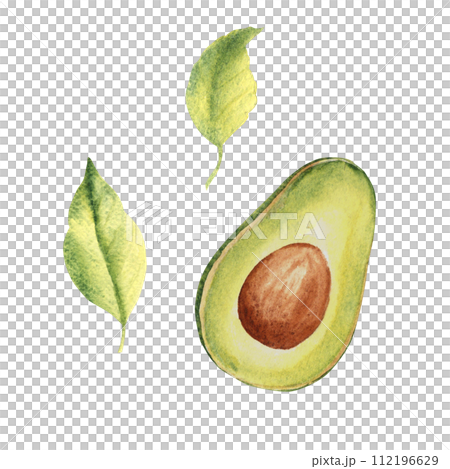 Avocado half fruit drawing with leaves. Hand drawn botanical watercolor illustration on white background. Avocado half fruit drawing with leaves. Hand drawn botanical watercolor illustration on white background. 112196629