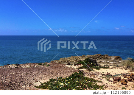 The image captures a rocky shoreline with greenery overlooking a vast, blue ocean under a clear sky. The image captures a rocky shoreline with greenery overlooking a vast, blue ocean under a clear sky. 112196890
