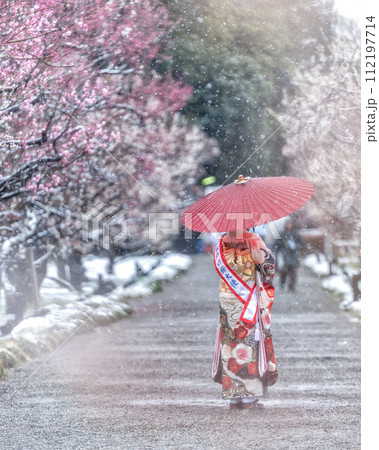 茨城県水戸市　雪舞う偕楽園の梅まつり 112197714