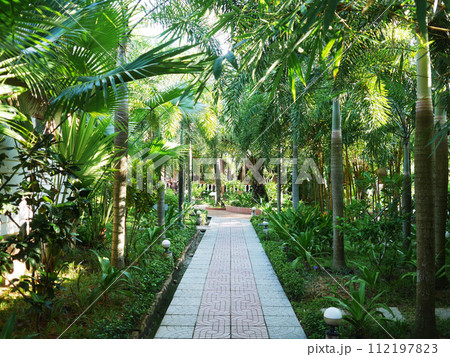 南国の植物が生い茂るビーチリゾートホテル（ベトナム フーコック島） 112197823