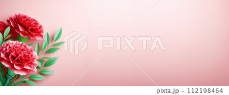 母の日　カーネーション　コピースペース 112198464