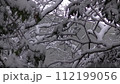 雪が降る日の川 112199056