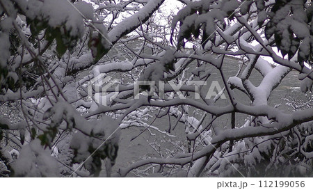 雪が降る日の川 112199056