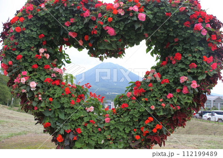 ハートの花から見る羊蹄山の風景_ニセコ ハートの花から見る羊蹄山の風景_ニセコ 112199489