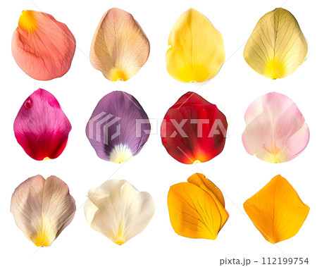 多彩な色合いの花びらコレクション 112199754