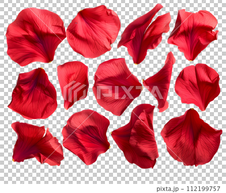 Red petal set (transparent background) Red petal set (transparent background) 112199757