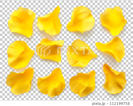 Yellow petal set (transparent background) Yellow petal set (transparent background) 112199758