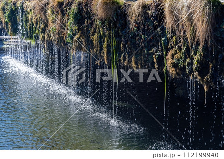忍野八海で見た繊細な滝のように流れ落ちる富士山の伏流水 忍野八海で見た繊細な滝のように流れ落ちる富士山の伏流水 112199940