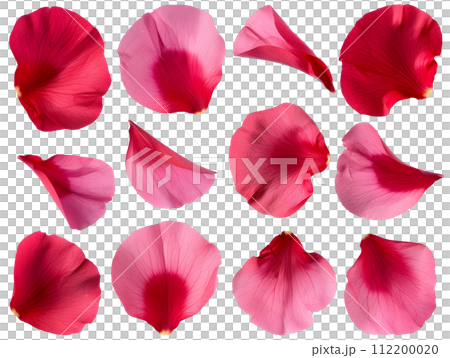 紅色花瓣套裝（透明背景） 112200020