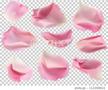 粉紅色花瓣套裝（透明背景） 112200022
