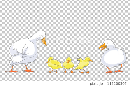 Cute duck parent and child set (color) 112200305