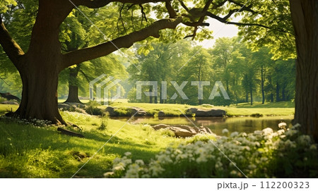 夏の森、さわやかな緑の自然背景 夏の森、さわやかな緑の自然背景 112200323