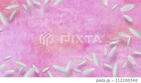 ピンクの重ね塗りペイントの背景に、白いガーベラが舞う季節のテクスチャー ピンクの重ね塗りペイントの背景に、白いガーベラが舞う季節のテクスチャー 112200348