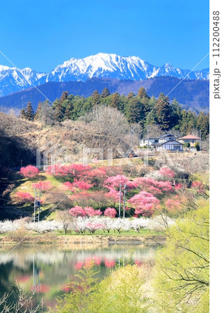 信州新町・ろうかく梅園 112200488