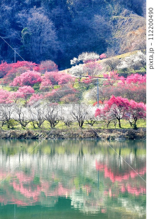 信州新町・ろうかく梅園 信州新町・ろうかく梅園 112200490