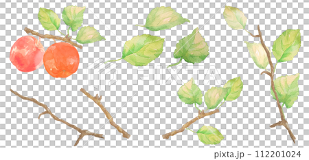A set illustration of apples and apple trees painted in watercolor A set illustration of apples and apple trees painted in watercolor 112201024