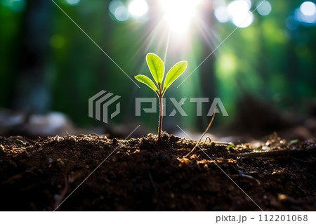 芽吹きのイメージ11　AI生成画像 112201068