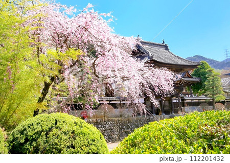 蔵沢寺の桜 蔵沢寺の桜 112201432