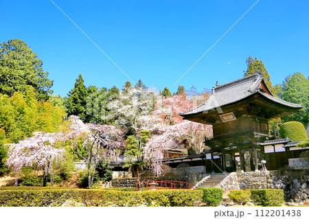 蔵沢寺の桜 蔵沢寺の桜 112201438