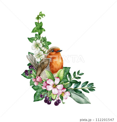 Vintage style spring decor of robin bird with flowers. Watercolor illustration. Hand drawn garden robin, spring flowers, elderberry, ivy, leaves element. Springtime painted cozy decor isolated 112201547