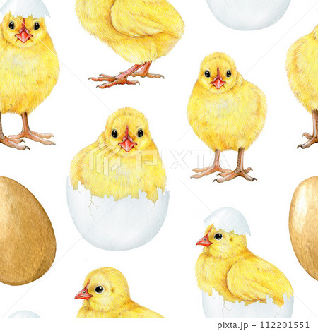 Cute small chick seamless pattern. Watercolor painted illustration. Hand drawn small fluffy newborn chicken hatched from the egg. Baby chicken farm bird seamless pattern on white background Cute small chick seamless pattern. Watercolor painted illustration. Hand drawn small fluffy newborn chicken hatched from the egg. Baby chicken farm bird seamless pattern on white background 112201551