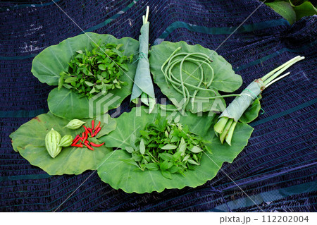 Agriculture product crop from rooftop garden by organic farming 112202004