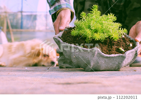 dog sleeping white owner working in green house farm to plant succulent 112202011