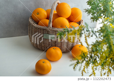 八朔とミモザの花 八朔とミモザの花 112202473