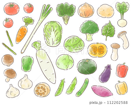 手描き風の野菜イラストセットのイラスト素材 [112202588] - PIXTA