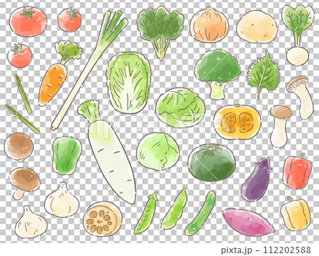 Hand-drawn vegetable illustration set 112202588
