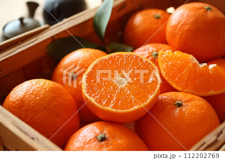 津之輝(1) 112202769