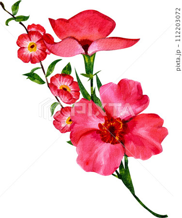 Bouquet flowers watercolor Bouquet flowers watercolor 112203072