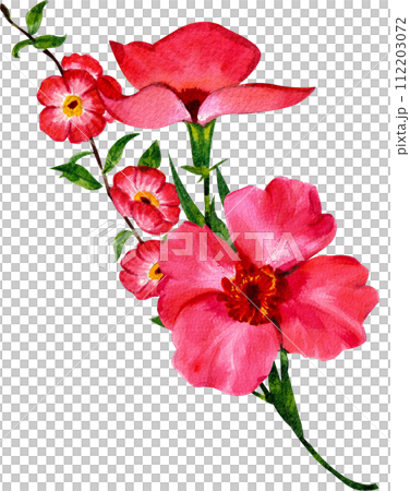 Bouquet flowers watercolor Bouquet flowers watercolor 112203072
