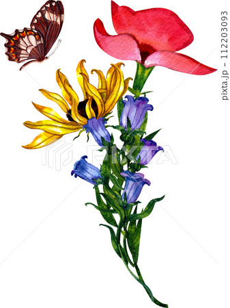 Bouquet flowers watercolor 112203093