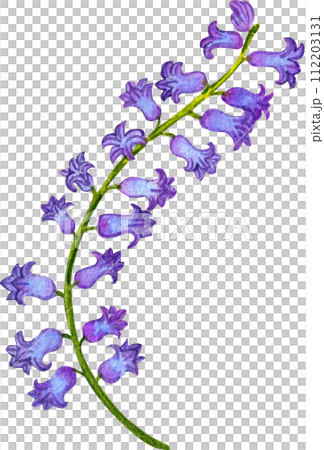 Flower and leaves watercolor element 112203131