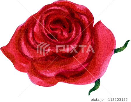 Flower and leaves watercolor element 112203135