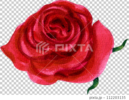 Flower and leaves watercolor element 112203135