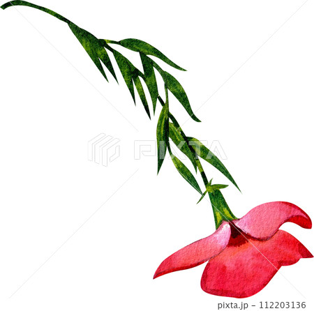 Flower and leaves watercolor element Flower and leaves watercolor element 112203136