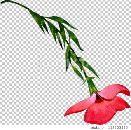 Flower and leaves watercolor element 112203136