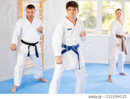 Athletes have starting position and repeating sequence of punches and painful techniques in kata Athletes have starting position and repeating sequence of punches and painful techniques in kata 112204125